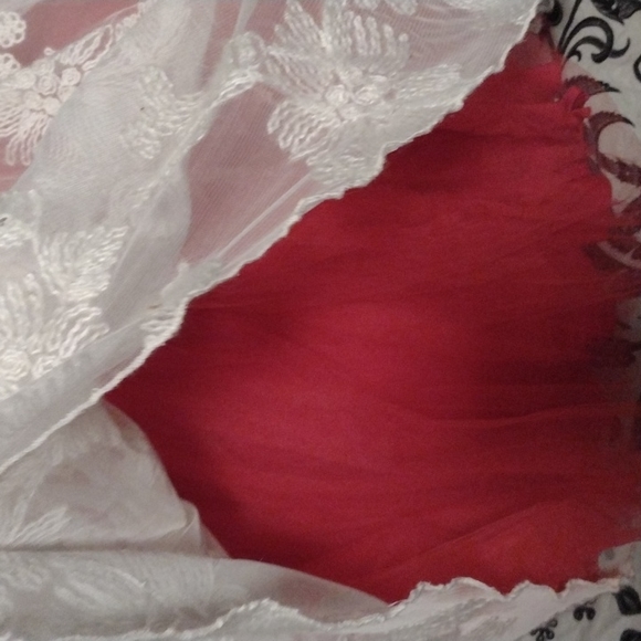 4T Magpie & Mable Layered Floral Embroidered Dress with Red Lining - Picture 3 of 6